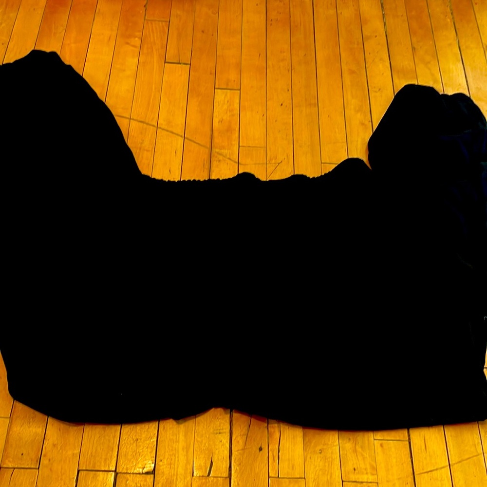 Eileen fisher size XS silk black pants